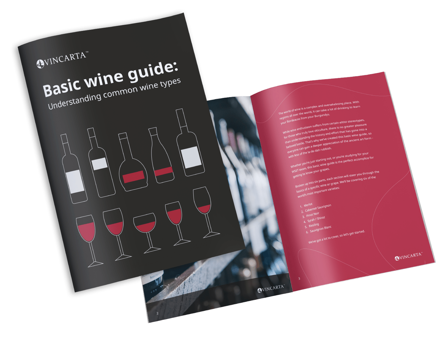 basic-wine-guide